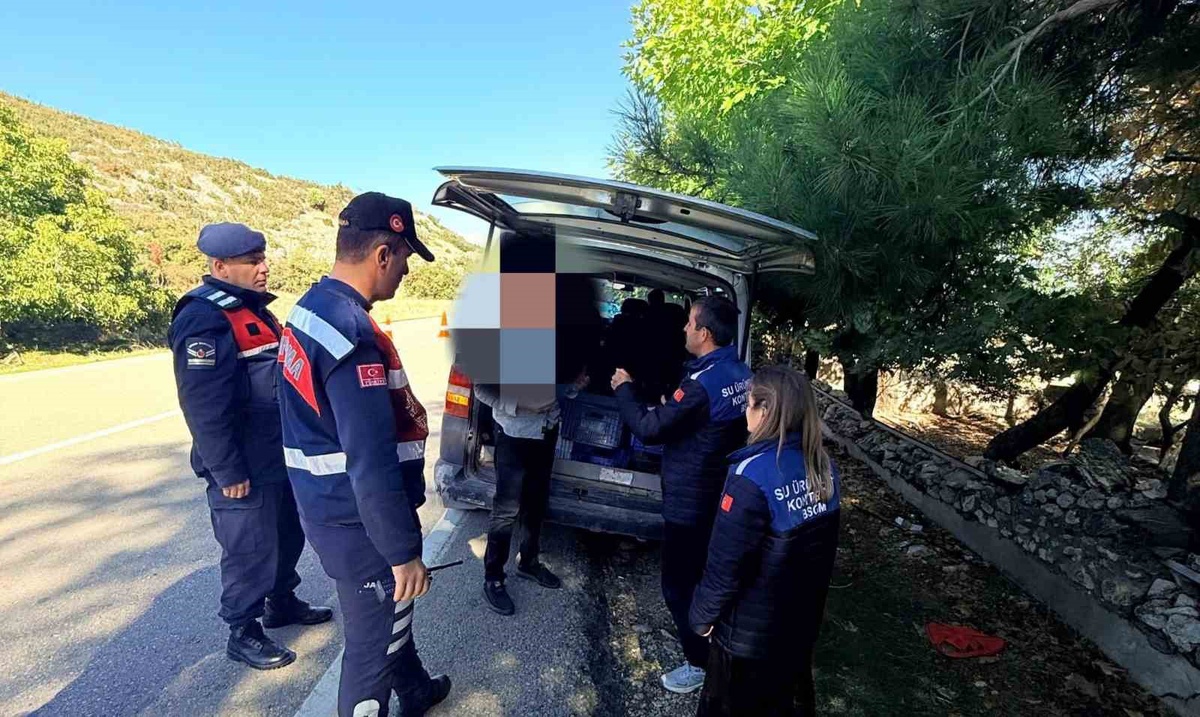 Eğirdir'de belgesiz taşınan 50 kilo balığa el konuldu, 47 bin 397 TL ceza uygulanacak