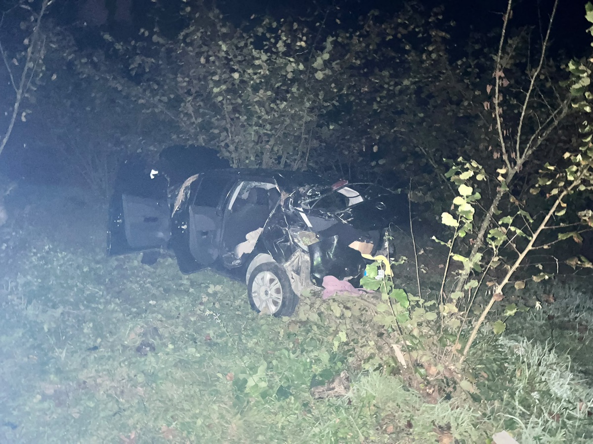 Zonguldak Ereğli'de otomobil 30 metre yükseklikten savruldu, 4 kişi yaralandı