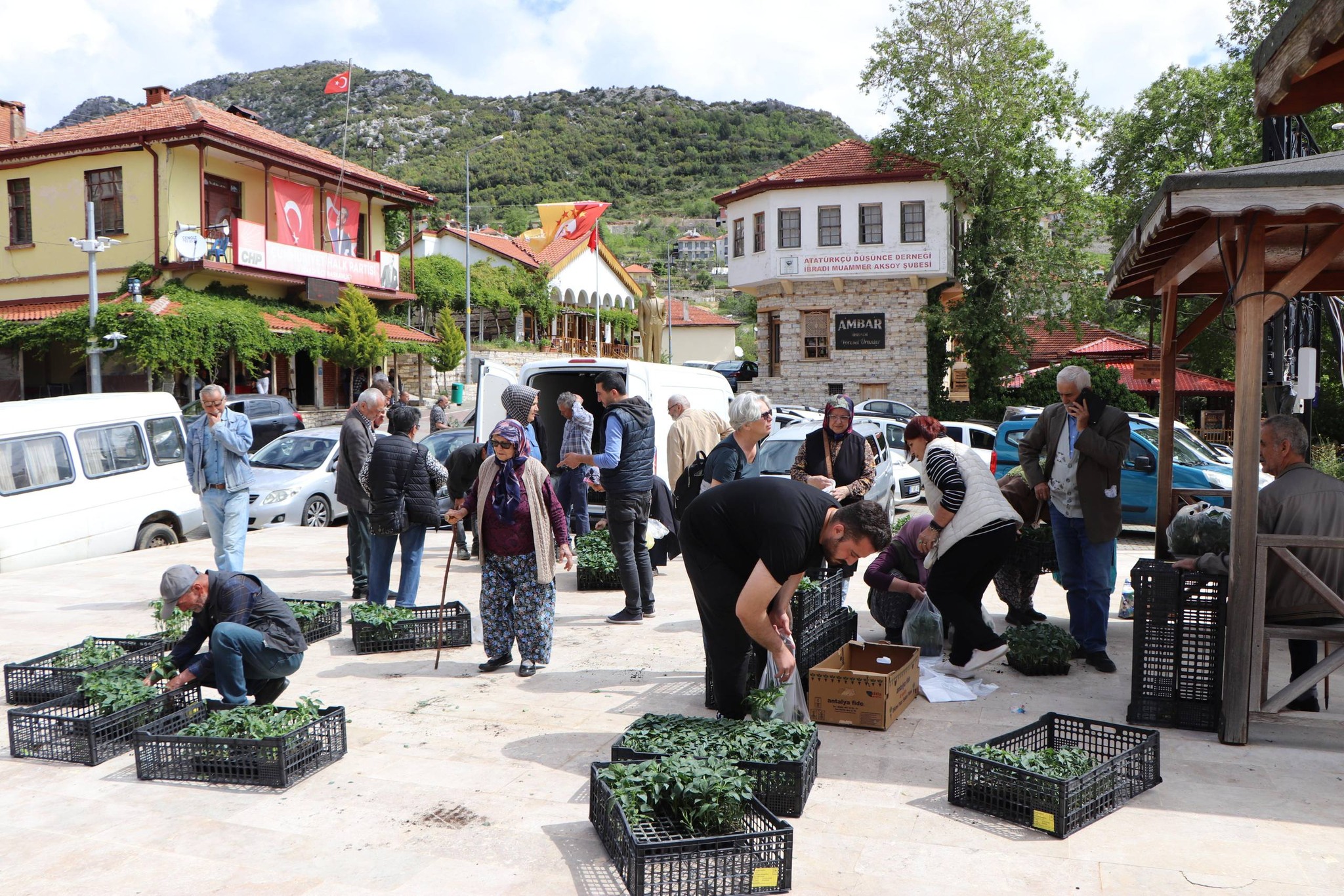 [BELEDIYE · Antalya · İbradı] İbradı merkez ve mahallelerimizde sebze fidesi dağıtımı gerçekleştirildi