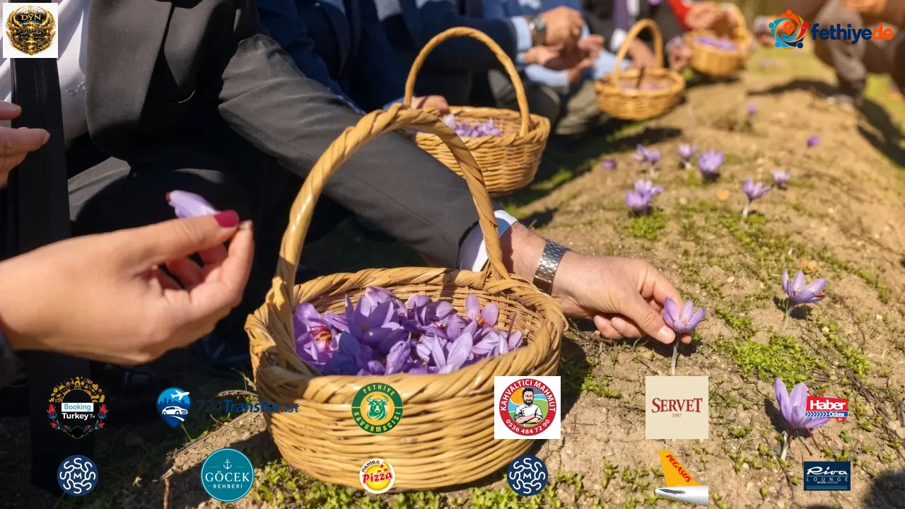 Tarlada yetişiyor, altınla yarışıyor! Kilosu 800 bin TL