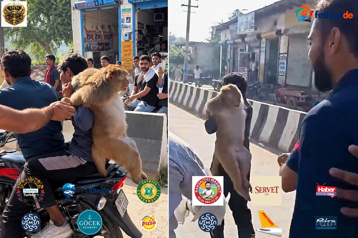 İnsanlık dışı görüntüler! Maymunu sopalarla dövdüler