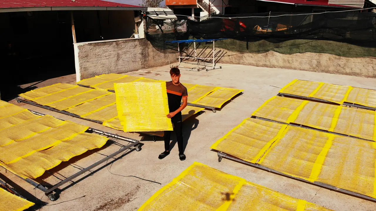 Kilogramı 350 liradan kapış kapış satılıyor: Aylarca çıtır çıtır yiyorlar