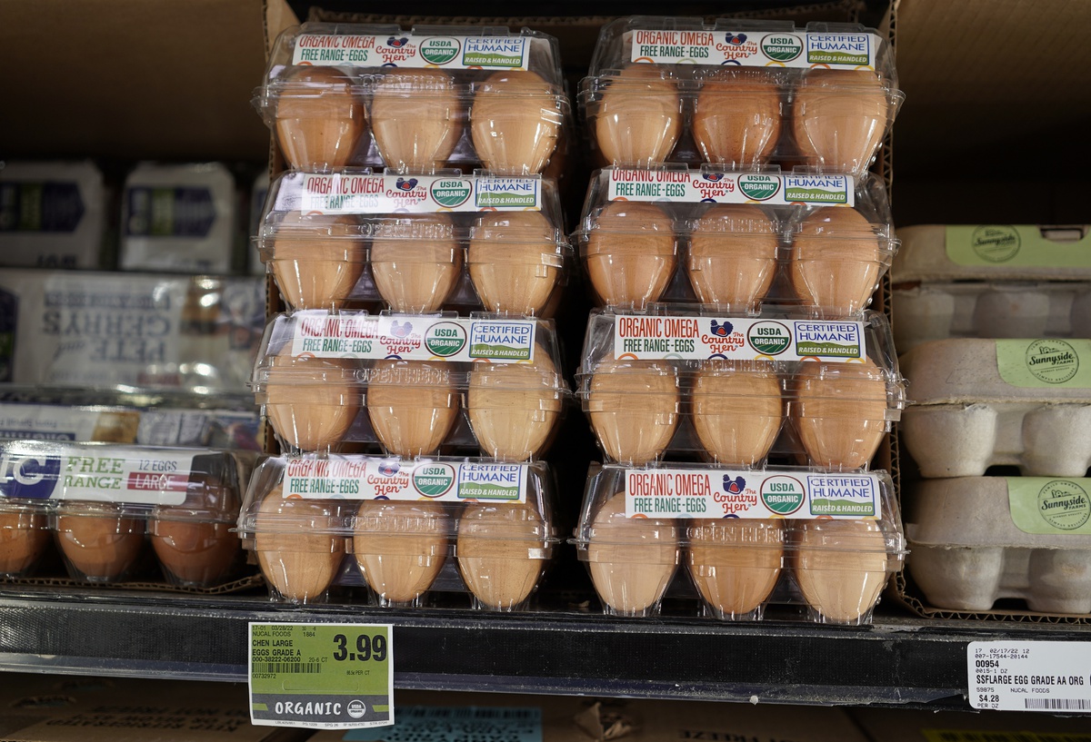 Hong Kong, H5N1 nedeniyle Kanada ve ABD'nin bazı bölgelerinden kanatlı ithalatı kesti