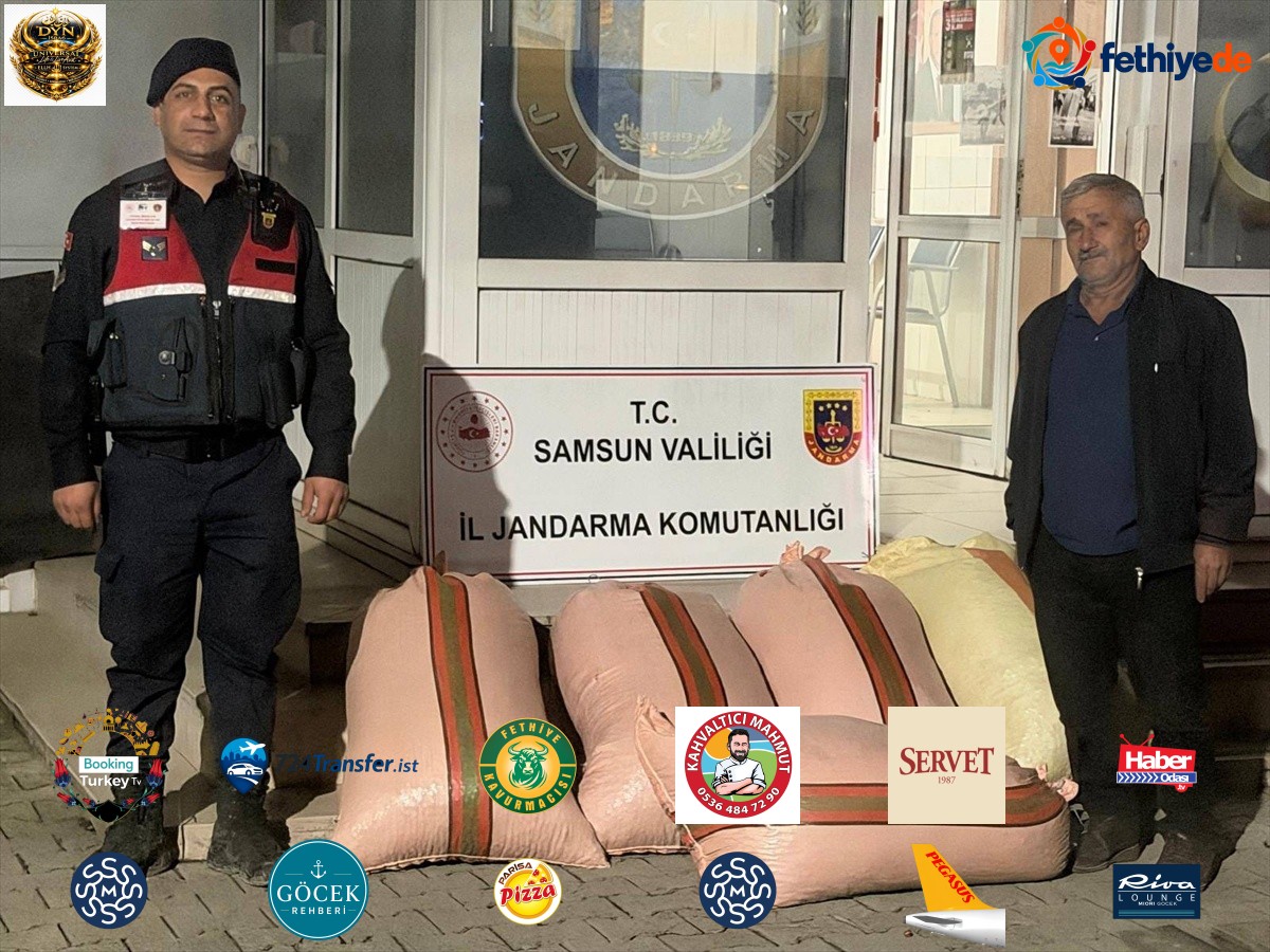Samsun Çarşamba'da fındıkta dolandırıcılık iddiasıyla 2 şüpheli gözaltına alındı