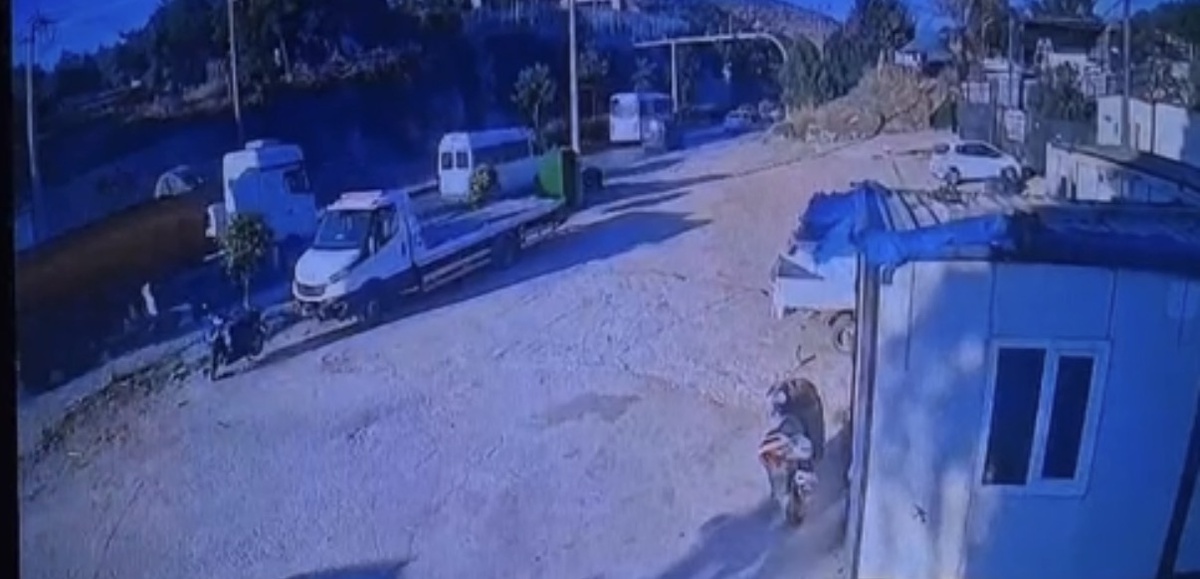Bodrum'da TIR ile çarpışan motosikletin ağır yaralı sürücüsü hastanede öldü