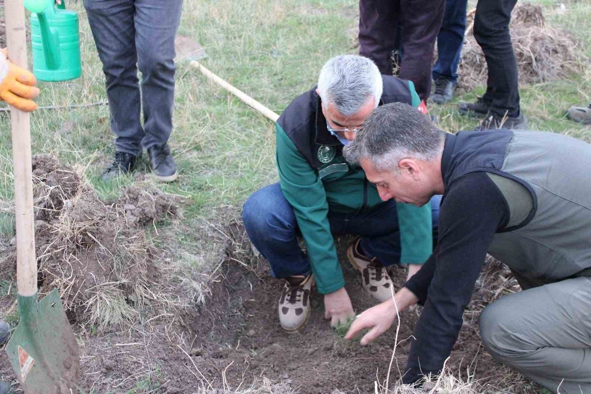 DSİ 24. Bölge Müdürlüğü ile Erzurum Orman Bölge Müdürlüğü fidan dikimine başladı