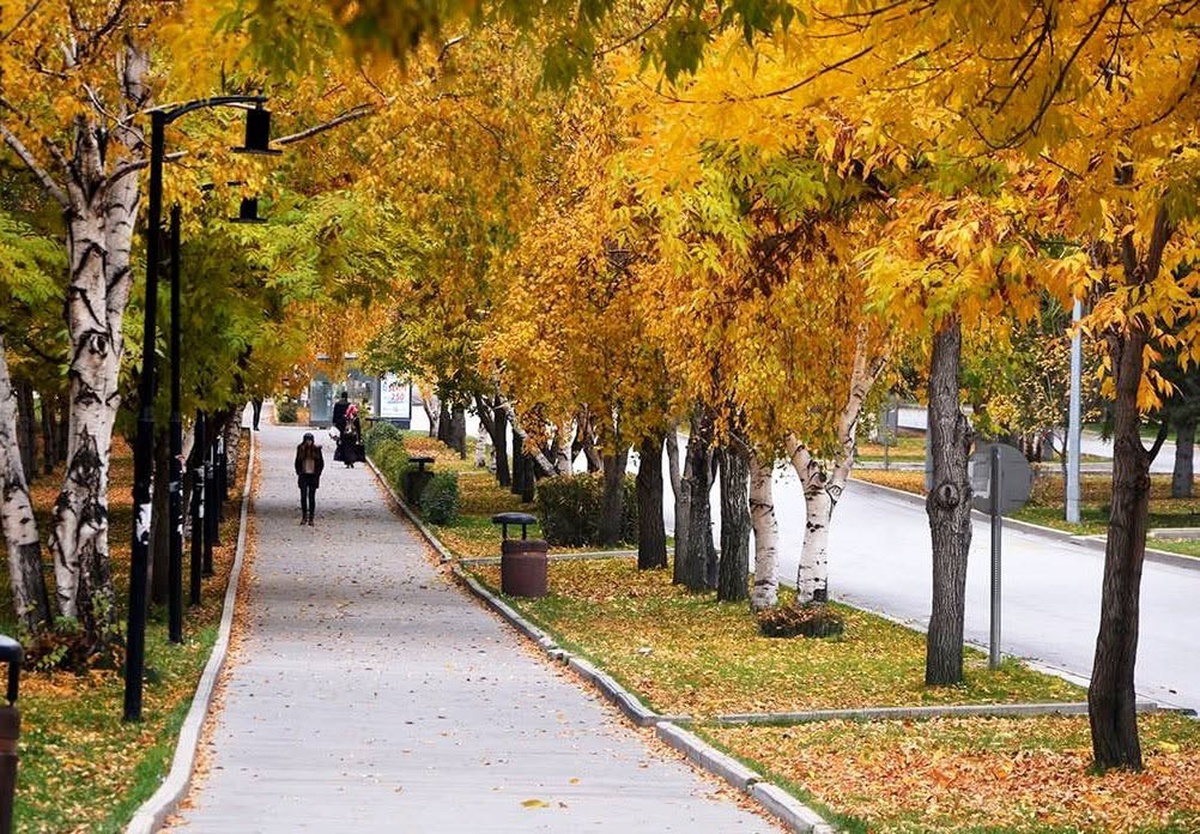 Meteoroloji 12. Bölge Müdürlüğü Erzurum ve Ardahan için sağanak uyarısı yaptı