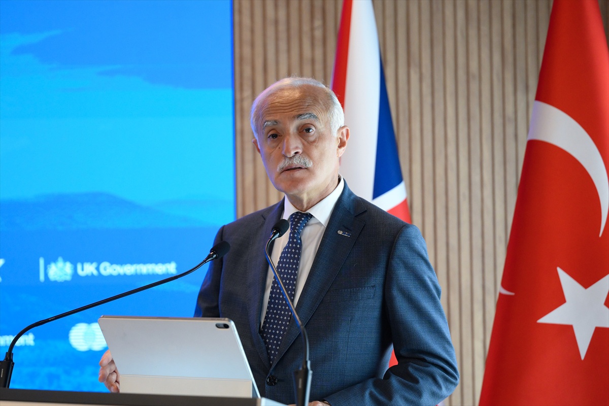 Bakan Yardımcısı Çonkar İngilizleri 100 milyar dolarlık enerji programına davet etti