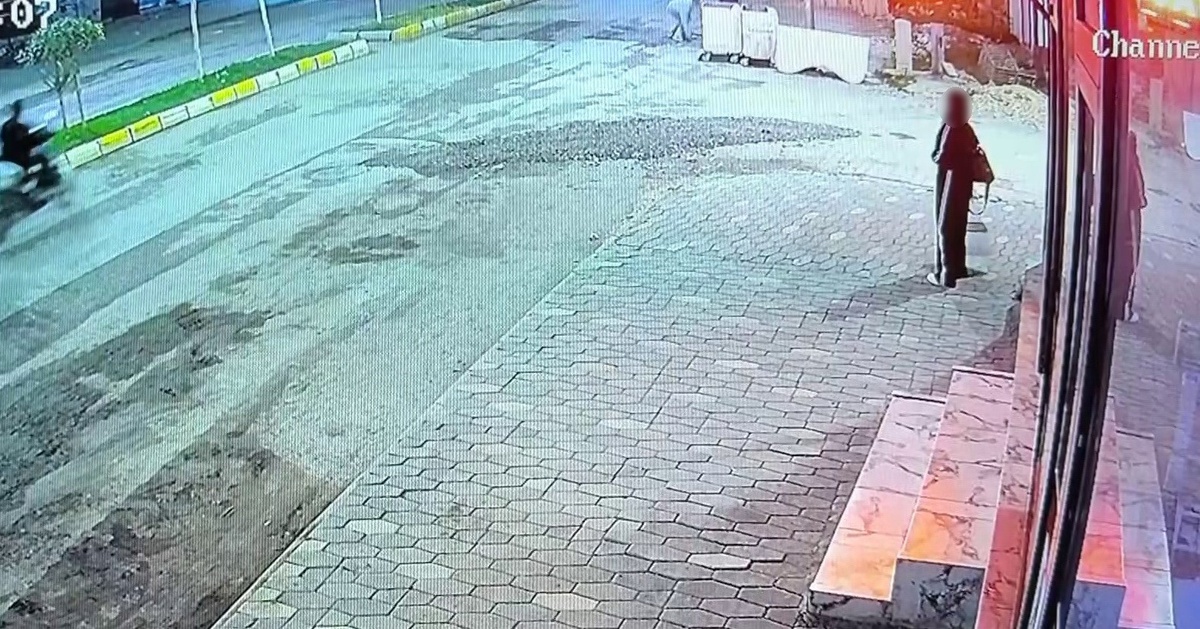 Adıyaman'da kaldırımda kediye taş atan kadın kamerada görüntülendi
