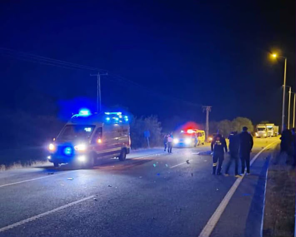 Tunceli'de karşıya geçmek isteyen 78 yaşındaki yaya otomobilin çarpmasıyla öldü