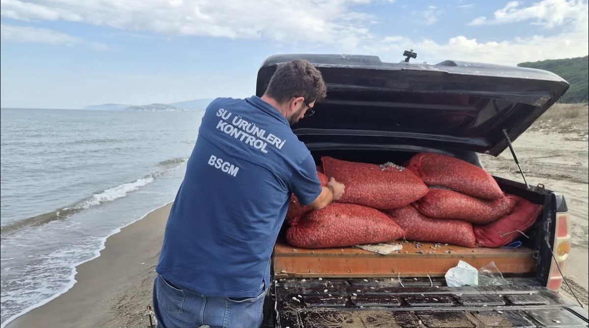 Mudanya'da kaçak avcılıkta 17 el dreçi ve 2 ton 760 kilo kum şırlanı ele geçirildi