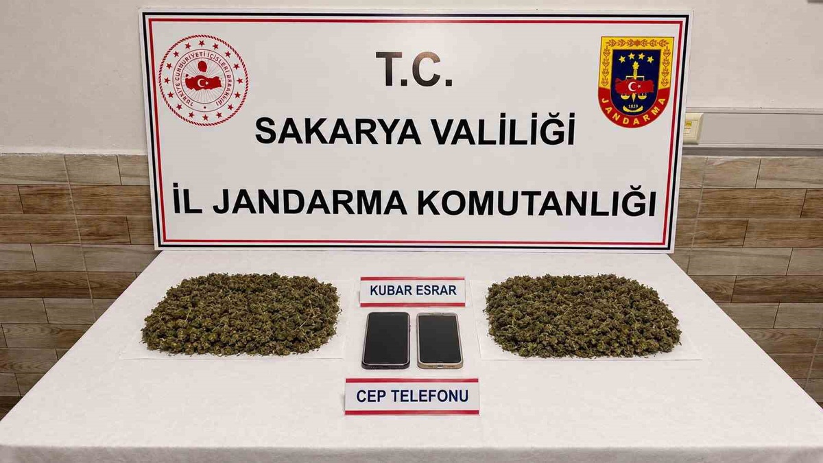 Karasu'da operasyonda 3 şüpheli tutuklandı, 1 kilo 487 gram bonzai ele geçirildi