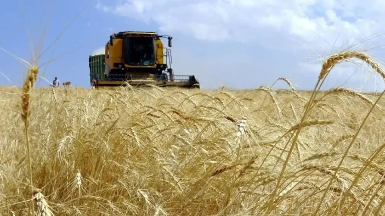 TARSİM 478 bin hasar ihbarı aldı: Tarımda 1,5 trilyon TL'lik güvence