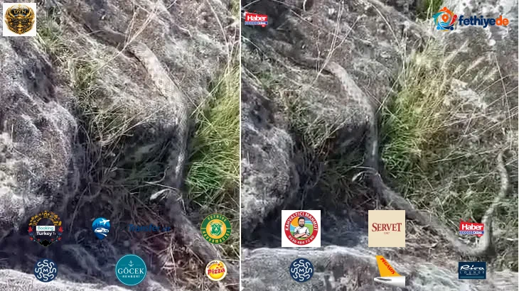 Aksaray'da göl kenarında yürüyüş yaparken 3 metre yılanla karşılaştı