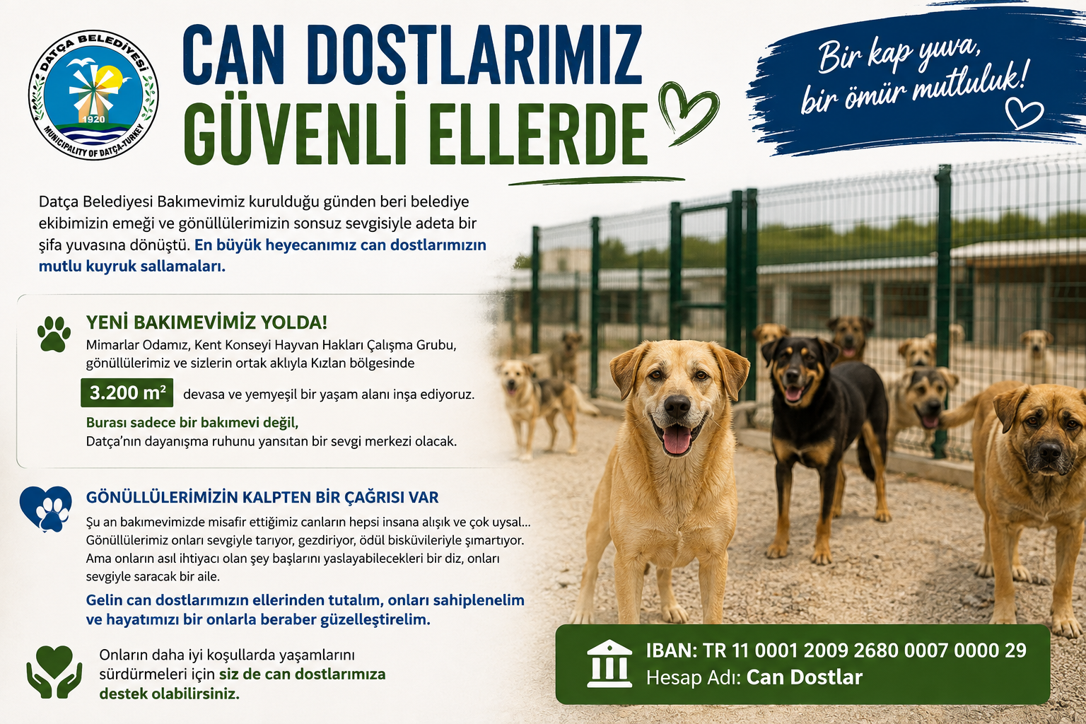 [BELEDIYE · Muğla · Datça] Can Dostlarımız Güvenli Ellerde | Datça Belediyesi