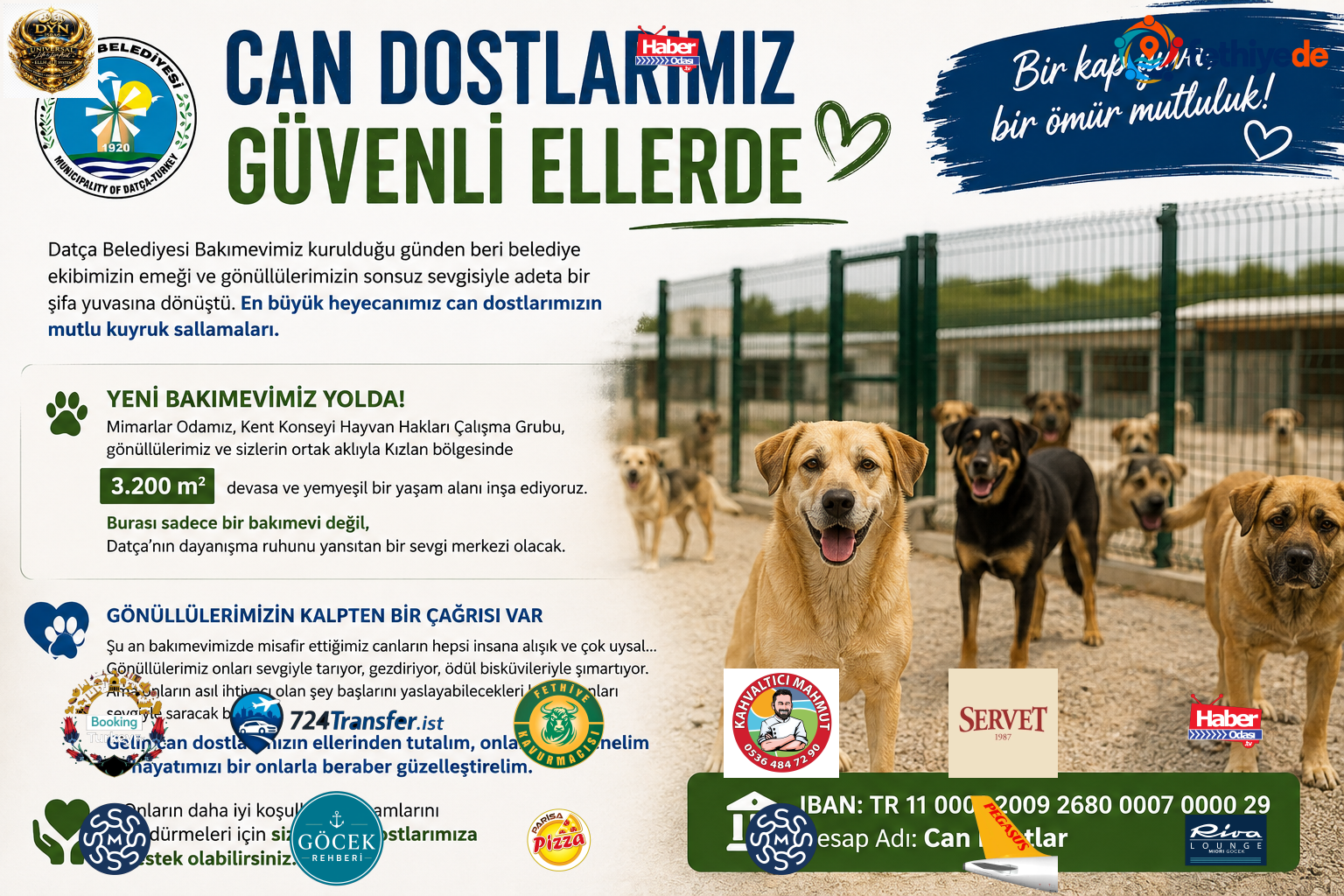 [BELEDIYE · Muğla · Datça] Can Dostlarımız Güvenli Ellerde | Datça Belediyesi