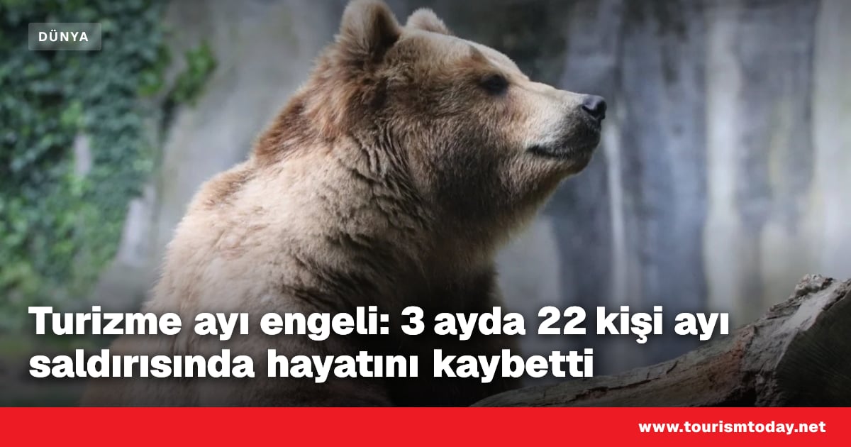 Turizme ayı engeli: 3 ayda 22 kişi ayı saldırısında hayatını kaybetti