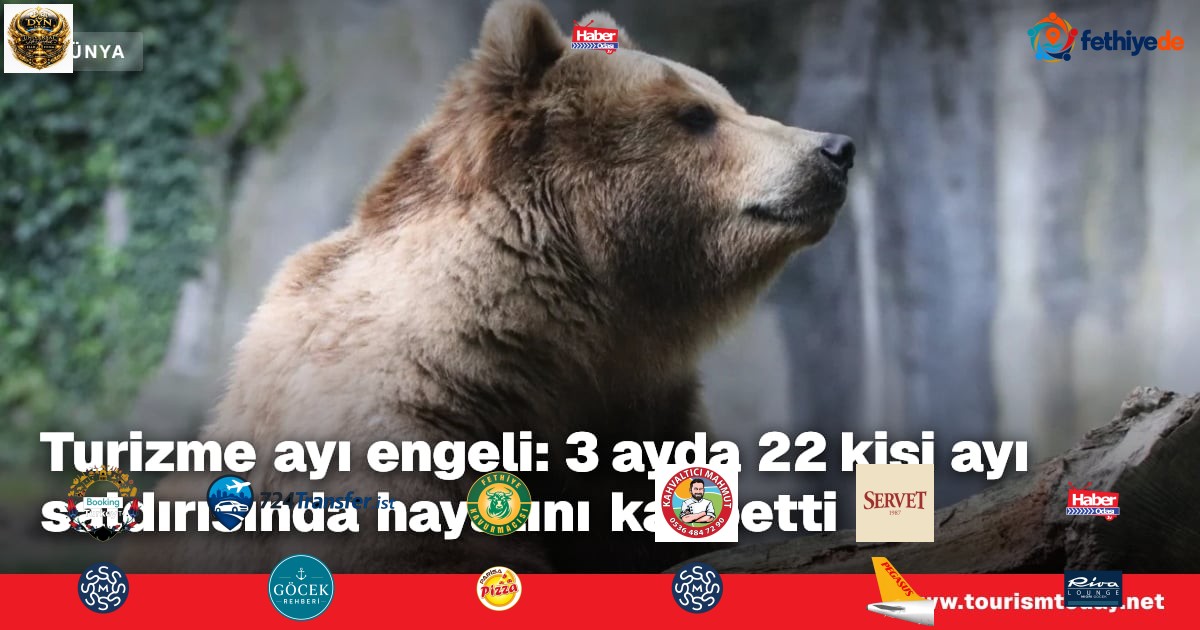 Turizme ayı engeli: 3 ayda 22 kişi ayı saldırısında hayatını kaybetti