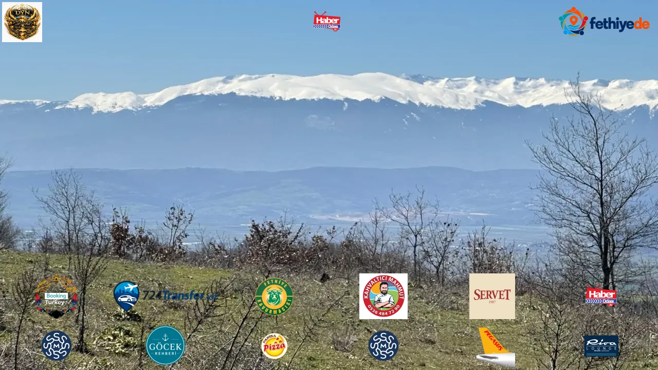 Büyükşehirlerden gelip arazi alıyorlar! Dönüm fiyatı 1 milyon TL’ye çıktı