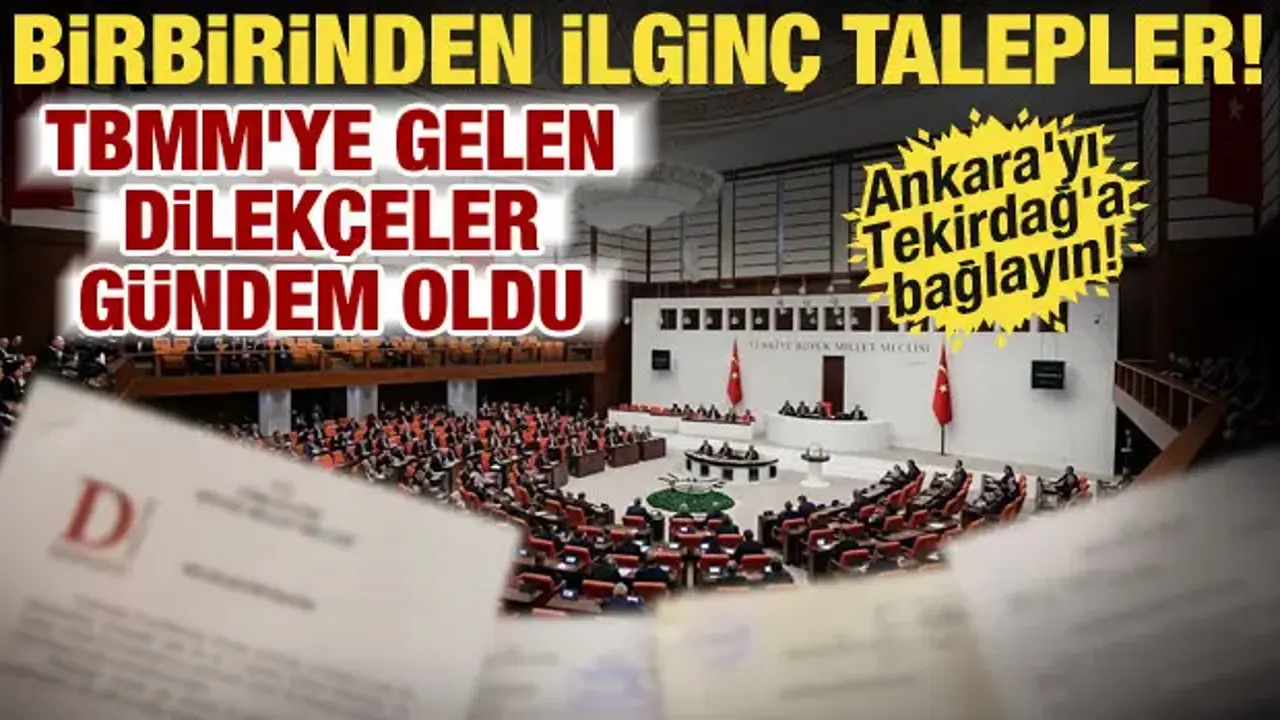 TBMM'ye yazılan ilginç talepler! 60 yaş üstüne yeşil pasaport, üniversitelere 3 yıl...
