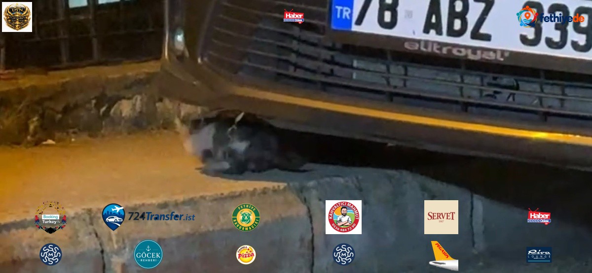 Karabük'te motor bölümüne sıkışan yavru kedi itfaiye ekiplerince kurtarıldı