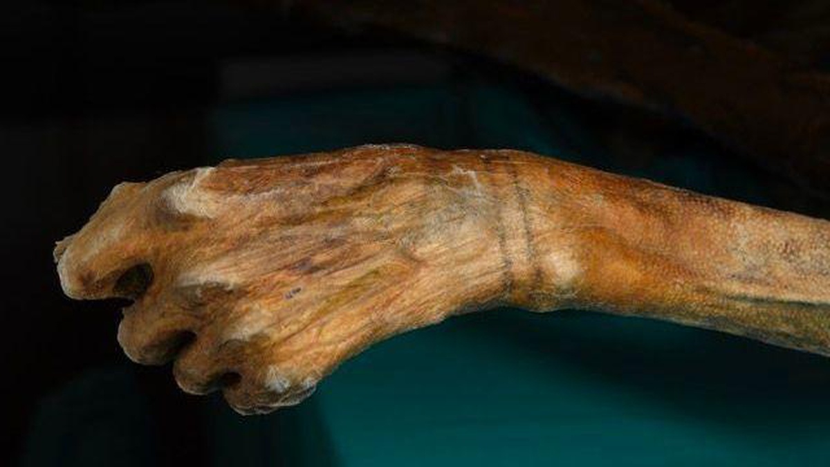 Buzlar eriyince Ötzi gibi kalıntılar ortaya çıkıyor, kurtarmak için kısa süre var