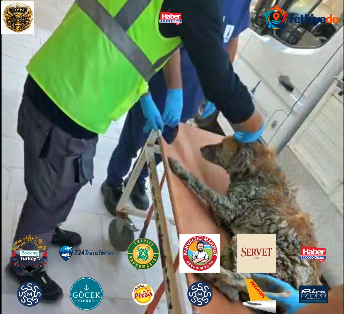 Buca'da çamur depolama alanına düşen köpek kurtarıldı! Bakan Çiftçi adını açıkladı: Şanslı