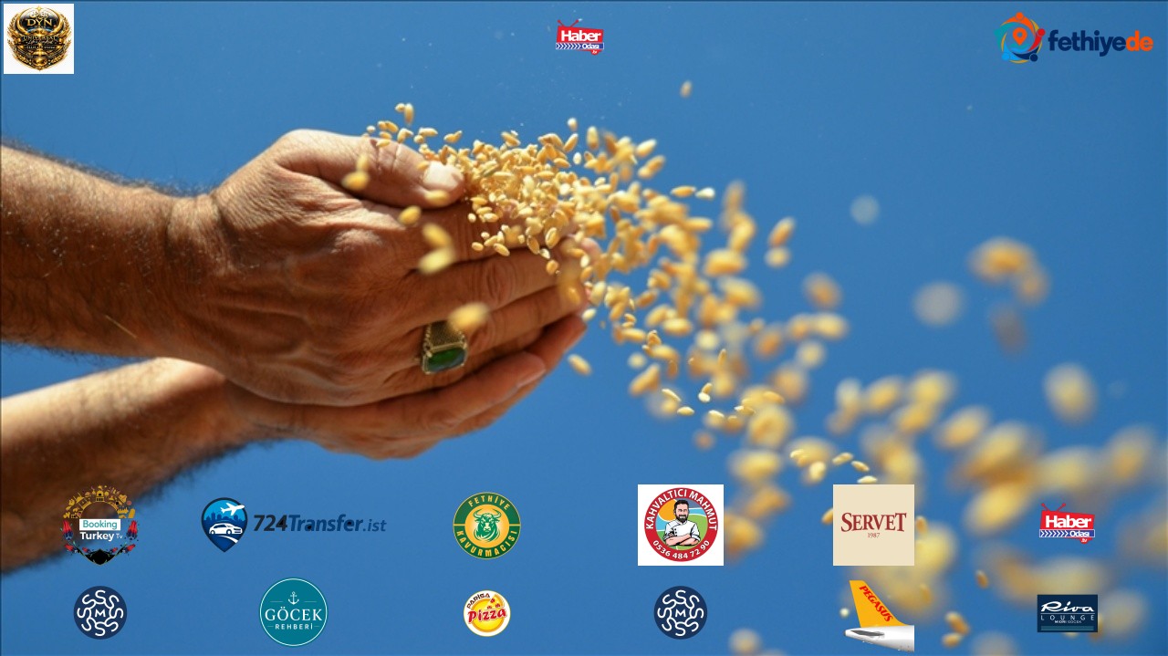 TİGEM 2,9 bin ton buğday satacak