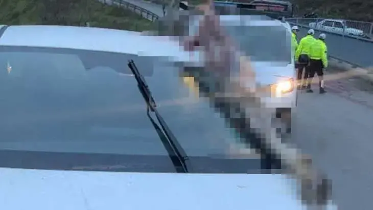 İstanbul'da dehşete düşüren kaza: Atın kopan bacağı otomobile saplandı