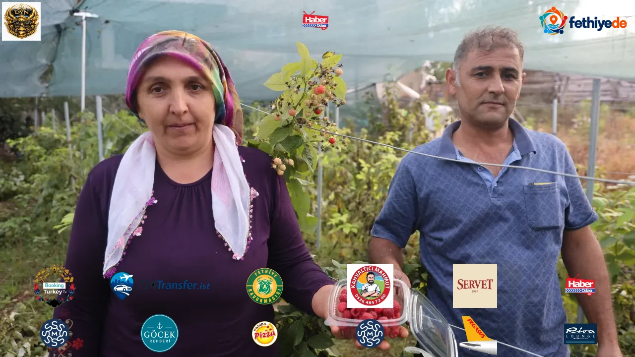 “Ben bu işi yaparım” dedi, başardı! İlçede ilk kez ektiği meyvenin kilosu 500 lira