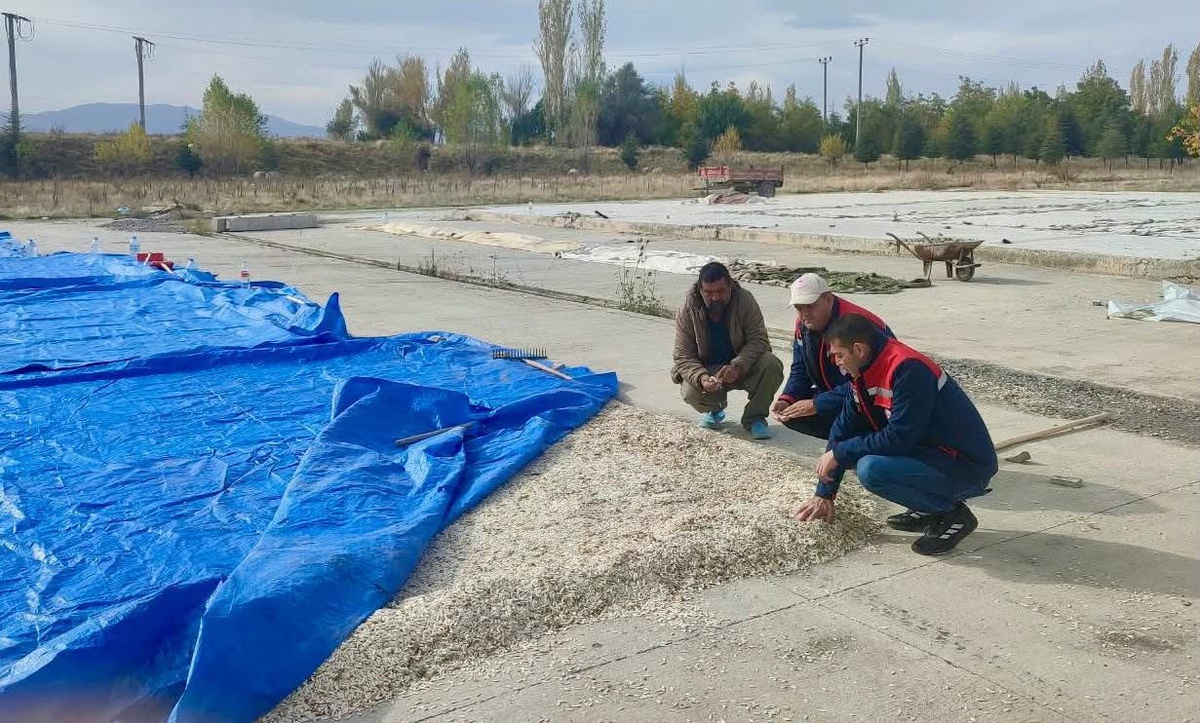 Çay İlçe Tarım ve Orman personeli kabak çekirdeği ve elma üreticilerini ziyaret etti