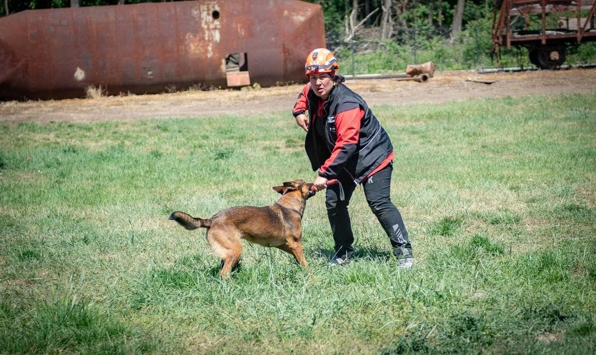 NAK Muğla'nın arama kurtarma köpekleri Afyonkarahisar'da yeterlilik sınavlarını geçti
