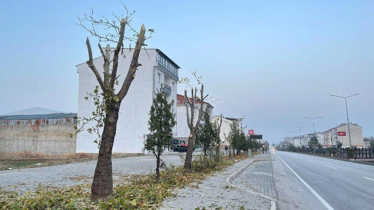 Kovancılar Belediyesi Ağaç Budama Çalışmalarına Devam Ediyor