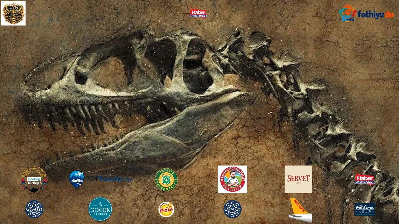 67 milyon yıllık dinozor iskeletine 47,3 milyon dolara satıldı