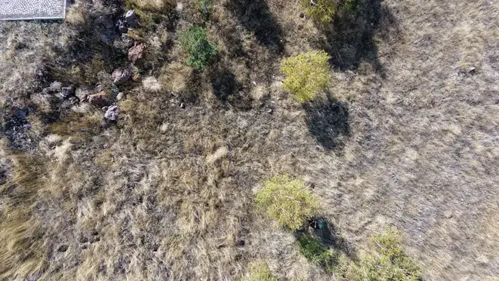 Erzurum'da 93 Harbi'nin unutulan kahramanları! 7 kardeşin mezarı otların arasında