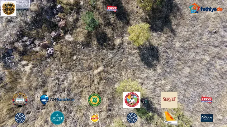 Erzurum'da 93 Harbi'nin unutulan kahramanları! 7 kardeşin mezarı otların arasında