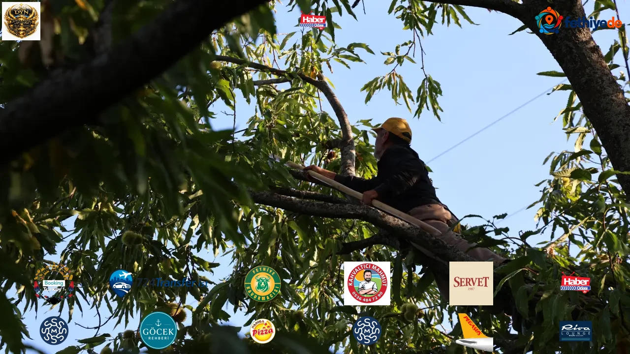 Ölümle burun buruna 50 metrelik mesai: 5 bin lirayı duyan dağa koştu