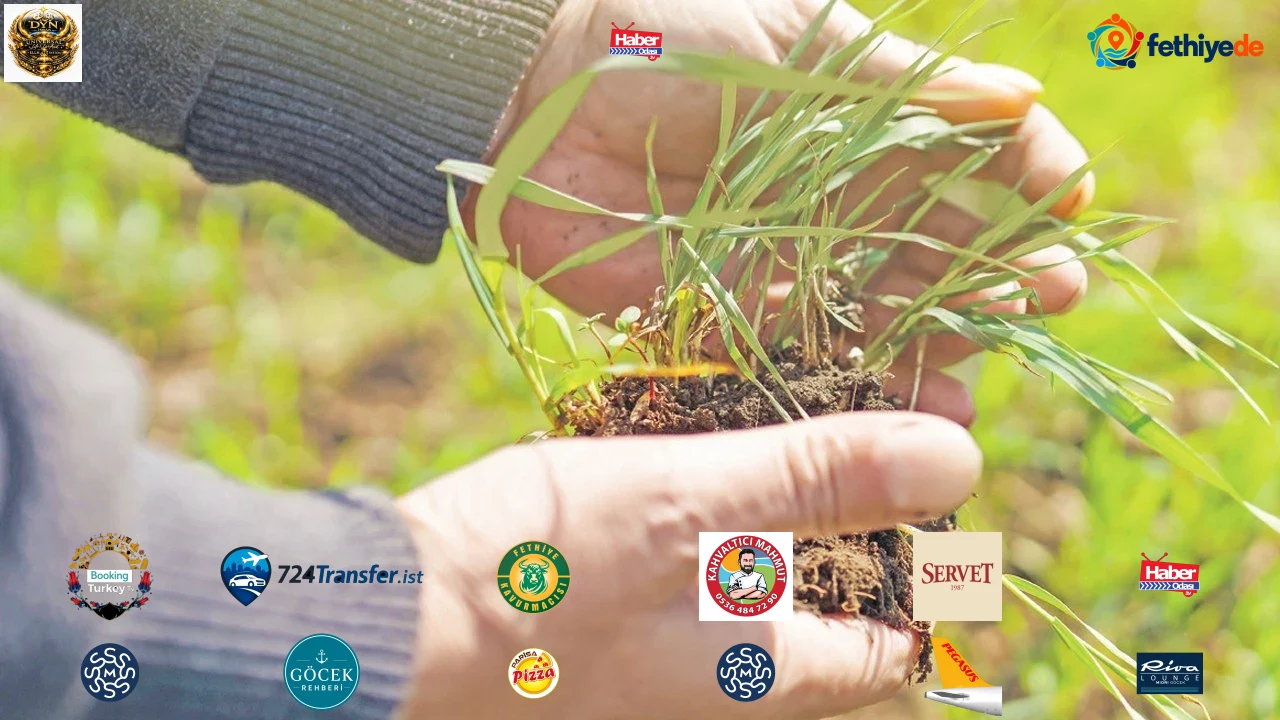 TARSİM’e 10 ayda 478 bin hasar ihbarı yapıldı