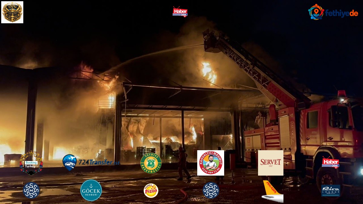 Bursa İznik'te soğuk hava deposunda yangın çıktı, itfaiye müdahalesi sürüyor