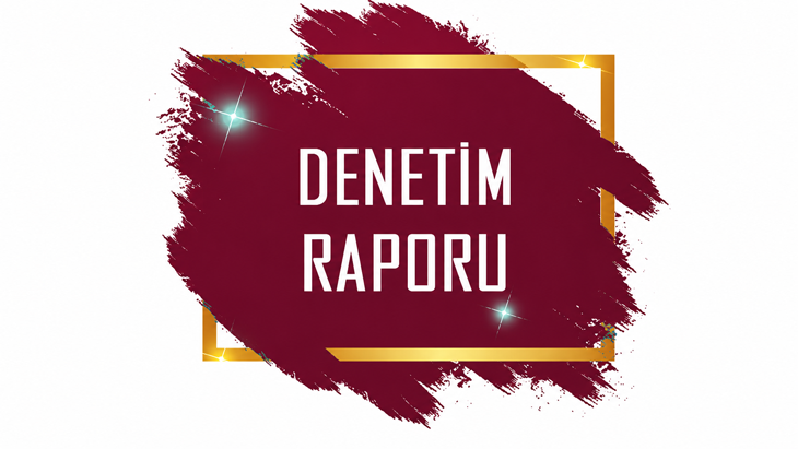 T.c. İçişleri Bakanlığı Mahali İdareler Kontrolörlüğü 2021-2024 Yılları Arası Denetim Raporu