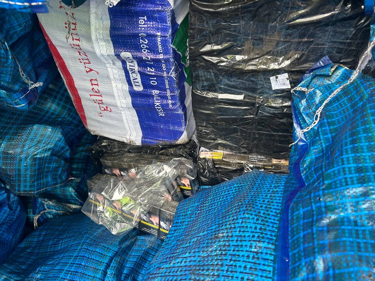 Siirt'te köpek destekli aramada 10 bin 250 paket kaçak sigara ele geçirildi
