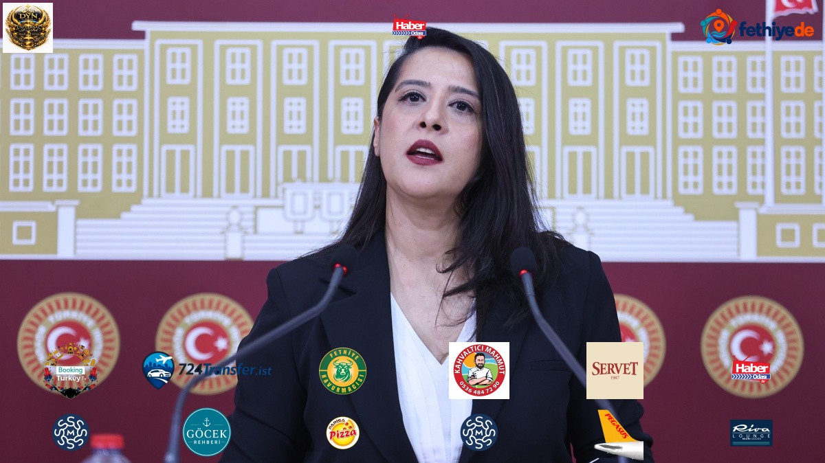 Karaca, Diyarbakır Sur'da 540 dönümden fazla meranın GES'e tahsisini TBMM'ye taşıdı
