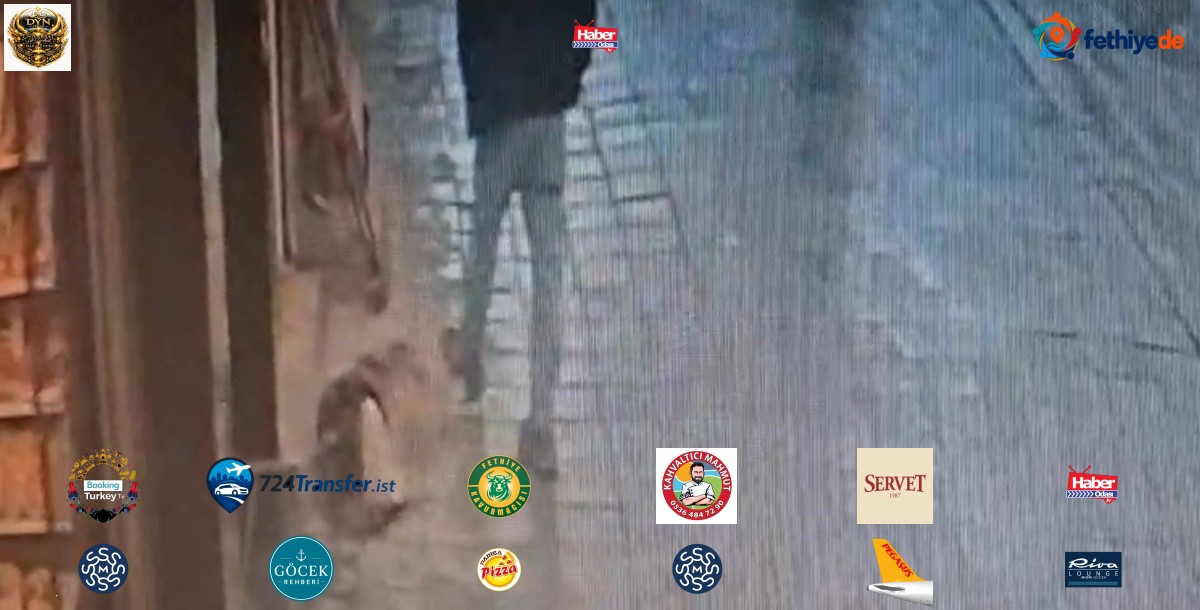 Avcılar'da uyuyan köpeğe tekme atan adam, ayağından ısırılarak yaralandı