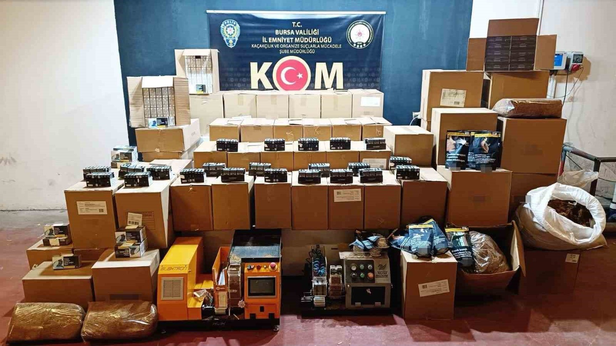 Bursa'da kaçak tütün operasyonunda 627 bin makaron ele geçirildi, 4 şüpheli yakalandı