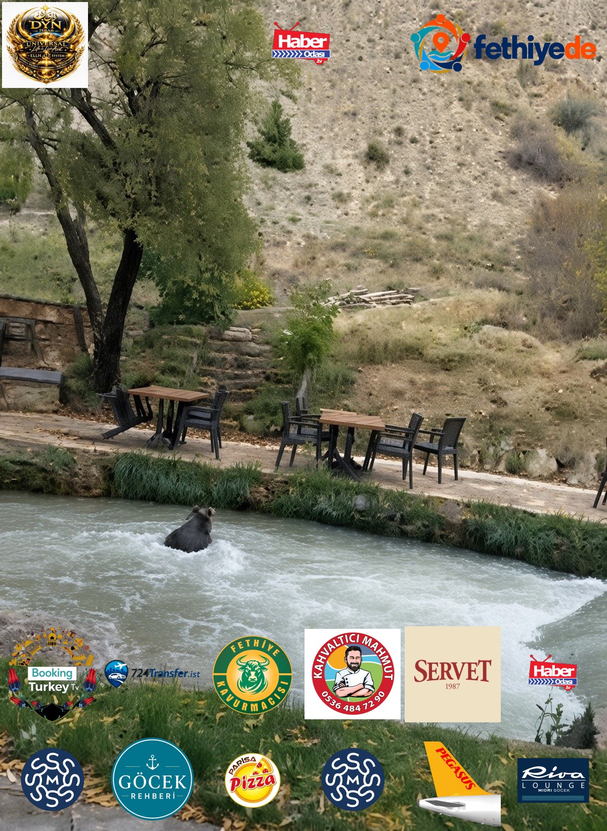 Erzincan Çağlayan'da restoran bahçesine giren yavru ayı su kanalından yüzerek kaçtı
