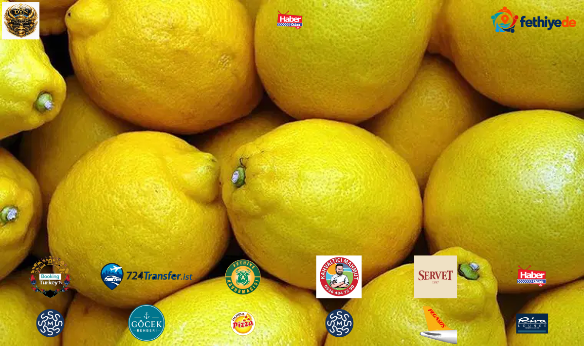 TZOB'un ekim raporunda limonda üretici-market fiyat farkı yüzde 999,2 oldu