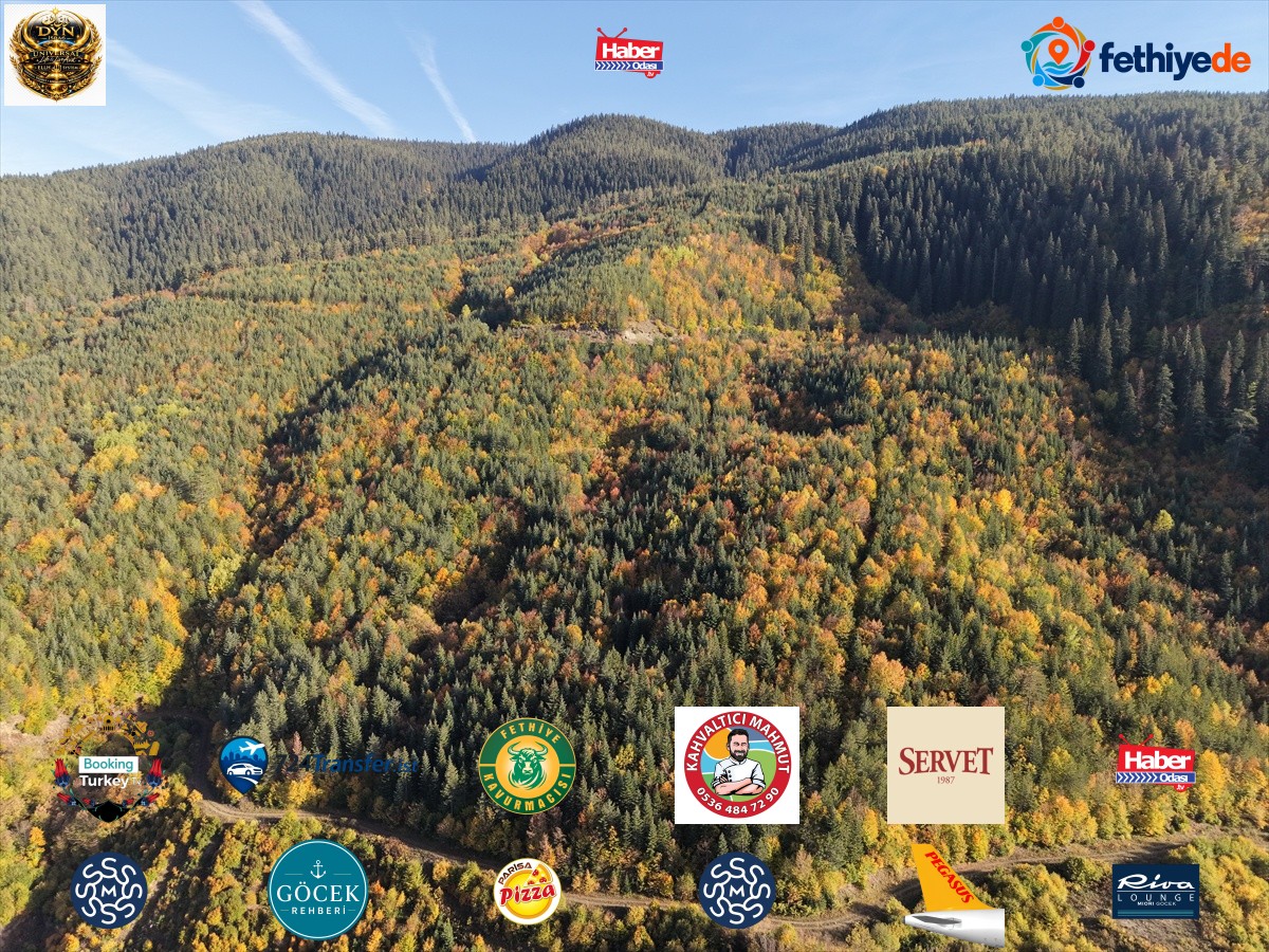 Ilgaz Dağı Milli Parkı'nda sonbahar renkleri fotoğrafçıları büyülüyor