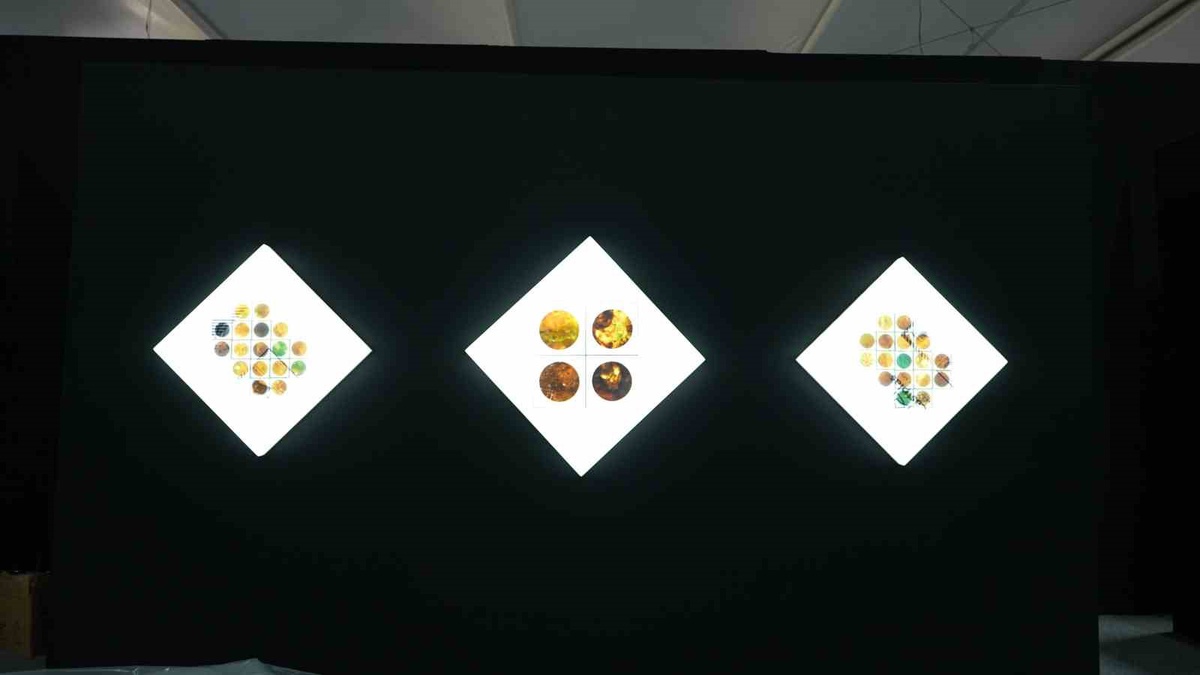Antalya'daki COP31 alanı COPArt ile açık ve kapalı sanat galerisi olarak kullanılacak
