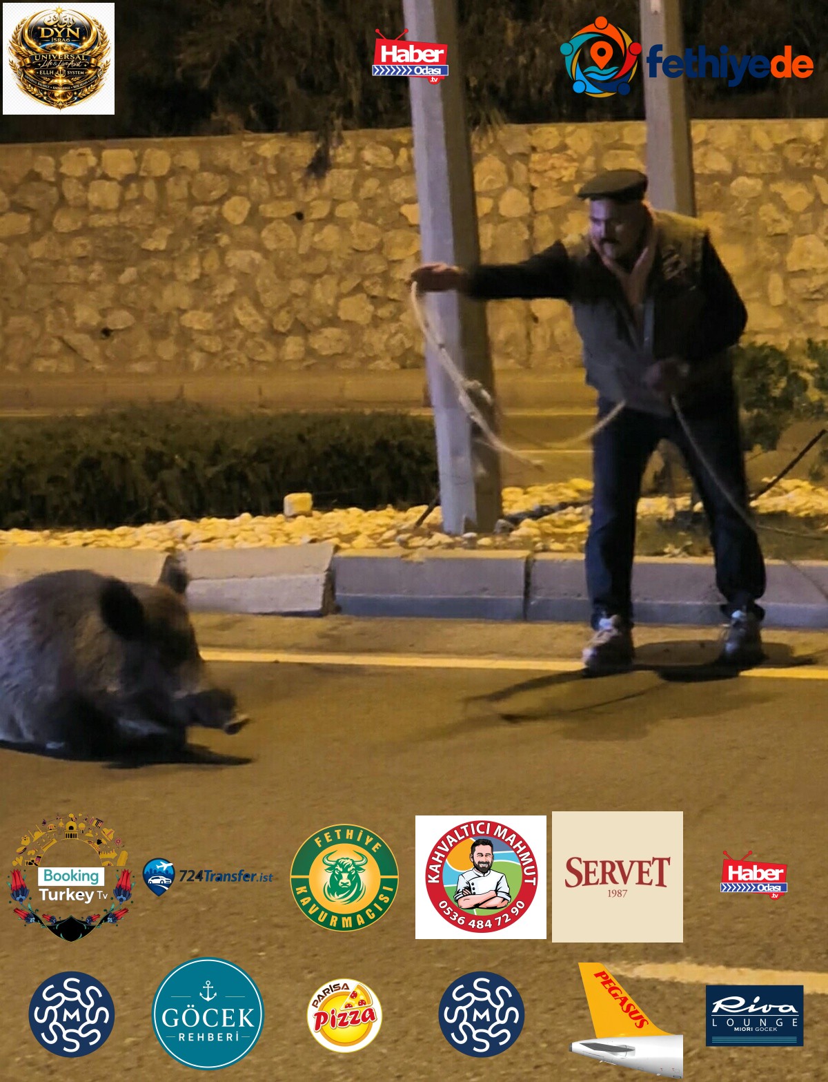 Kuşadası'nda yaban domuzunu kementle yakalamaya çalışana EKODOSD'dan uyarı geldi