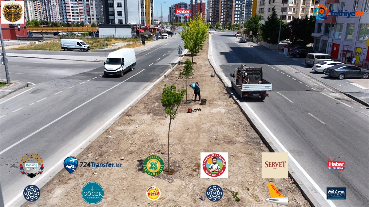 Kayseri Büyükşehir Belediyesi kuruyan ağaçların yerine iklime uygun ağaç dikiyor